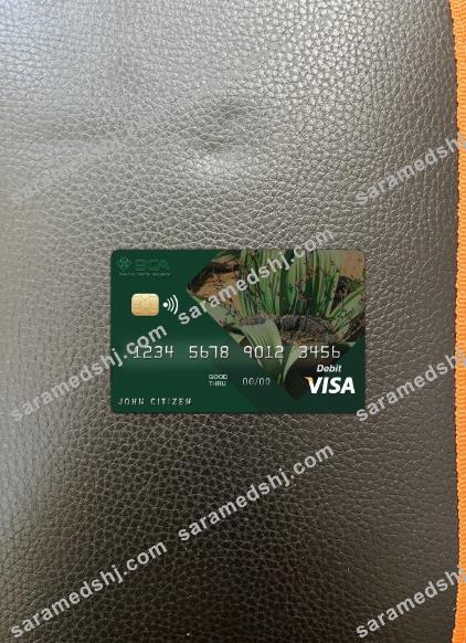 Angola Comercial Bank visa card photolook front